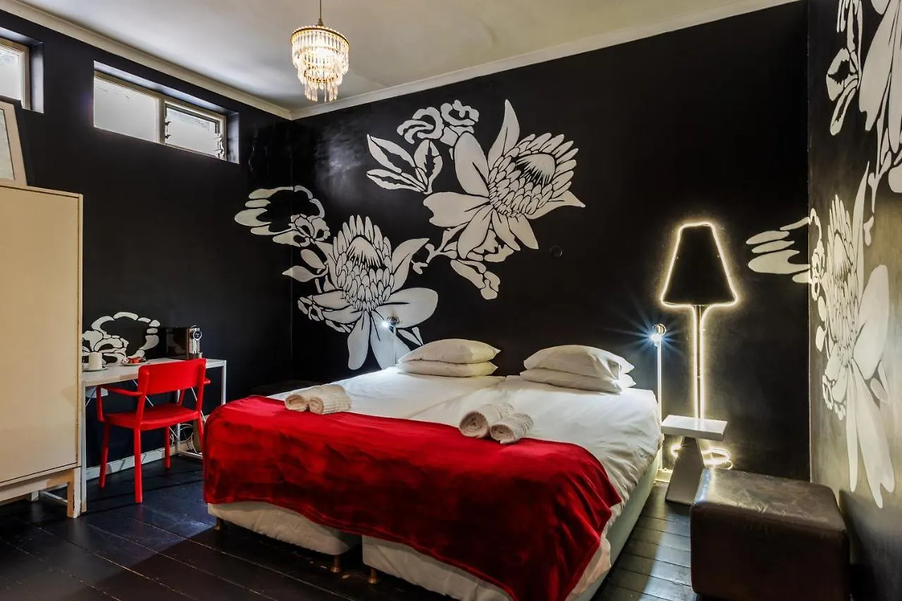 Daddy Long Legs Art Hotel Le Cap
